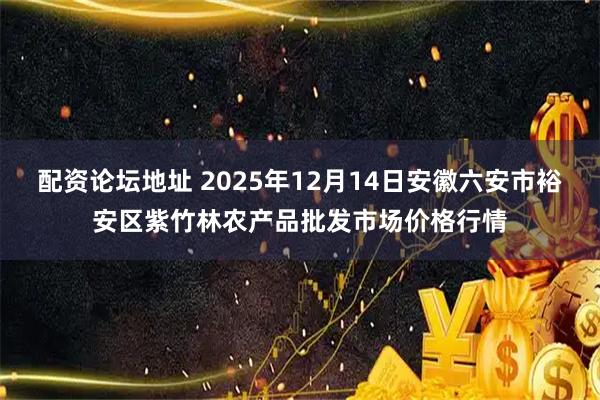 配资论坛地址 2025年12月14日安徽六安市裕安区紫竹林农产品批发市场价格行情